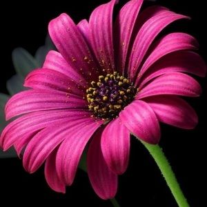 Meet your Posher, Mindy